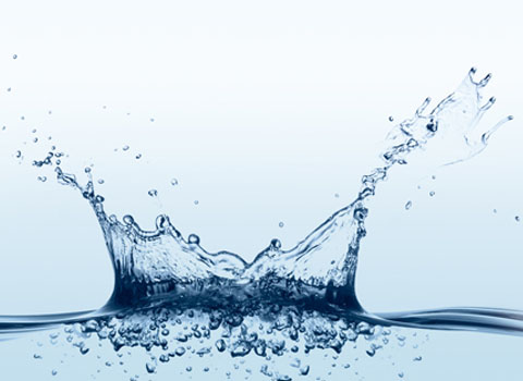 泰州耀鑫機(jī)械制造有限公司